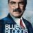 Blue Bloods : 1.Sezon 6.Bölüm izle