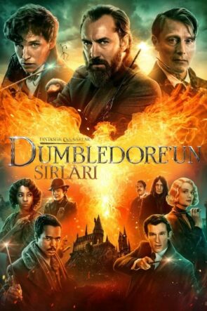 Fantastik Canavarlar: Dumbledore’un Sırları (2022)