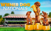 Wiener Dog Nationals (2013)