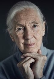 Jane Goodall