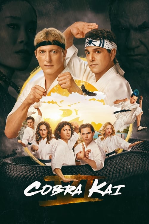 Cobra Kai : 1.Sezon 6.Bölüm