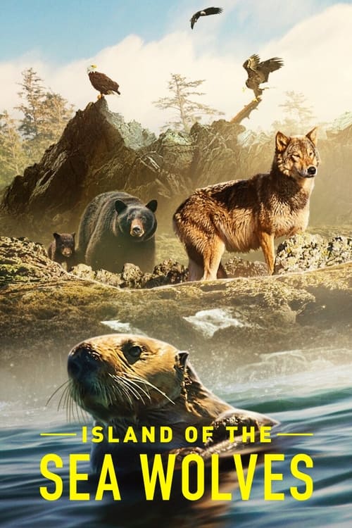 Island of the Sea Wolves : 1.Sezon 1.Bölüm