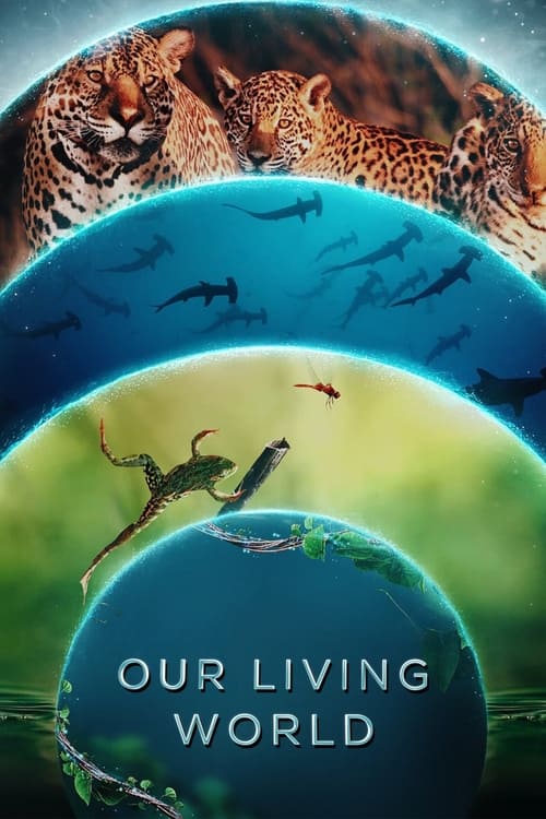 Our Living World : 1.Sezon 3.Bölüm