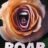 Roar : 1.Sezon 1.Bölüm izle