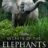 Secrets of the Elephants : 1.Sezon 4.Bölüm izle