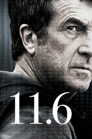 11.6 (2013)