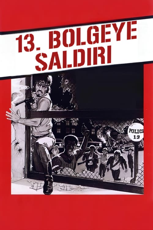 13. Bölgeye Saldırı (1976)