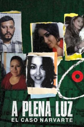 A plena luz: El caso Narvarte (2022)