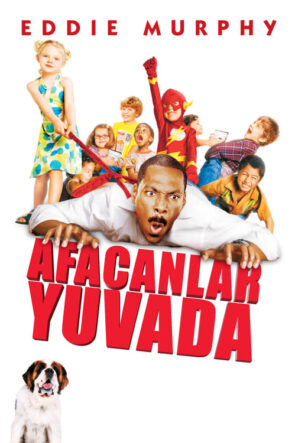 Afacanlar Yuvada (2003)