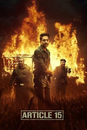 Article 15 (2019)