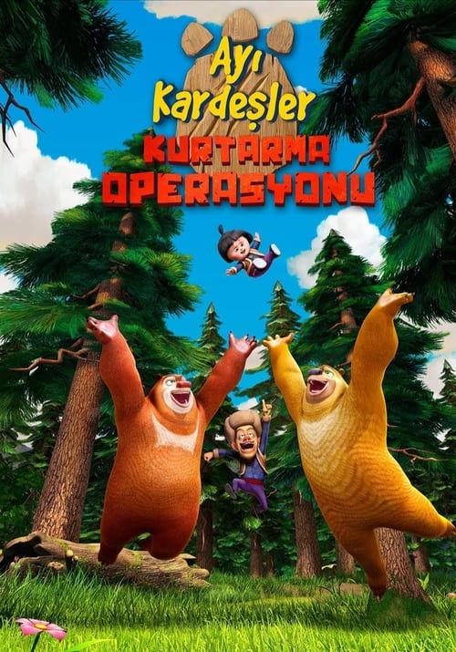 Ayı Kardeşler: Kurtarma Operasyonu (2014)