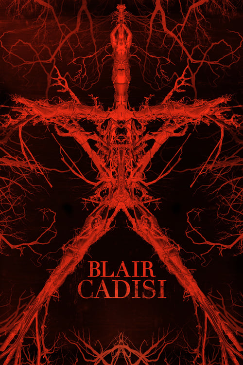 Blair Cadısı (2016)