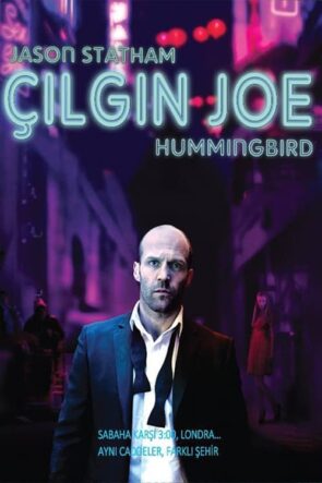 Çılgın Joe (2013)