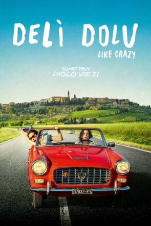 Deli Dolu (2016)