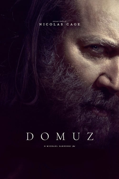 Domuz (2021)