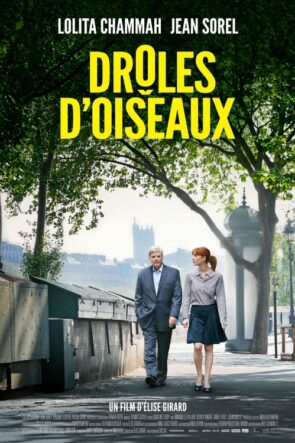 Drôles d’oiseaux (2017)