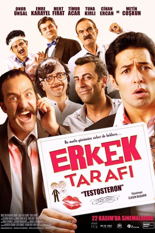 Erkek Tarafı: Testosteron (2013)