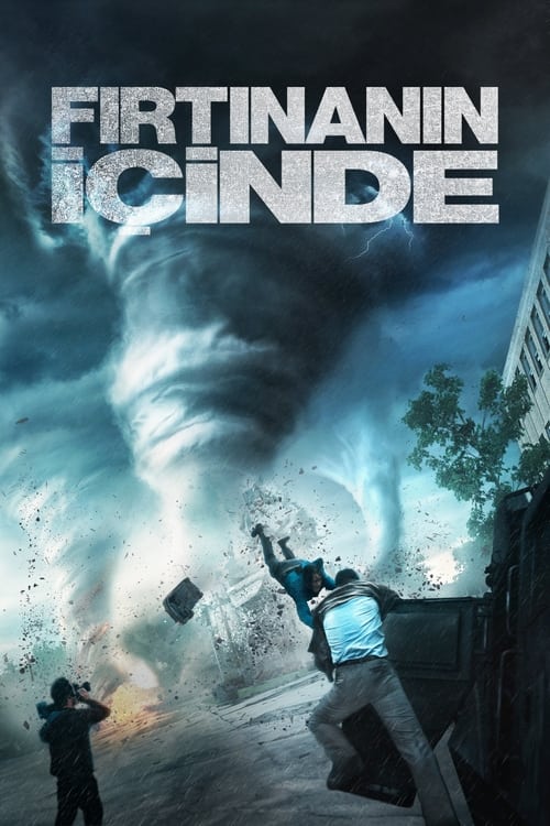 Fırtınanın İçinde (2014)