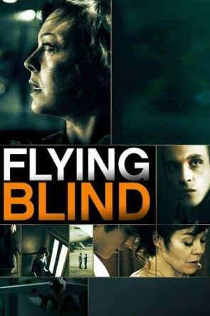 Flying Blind (2013)