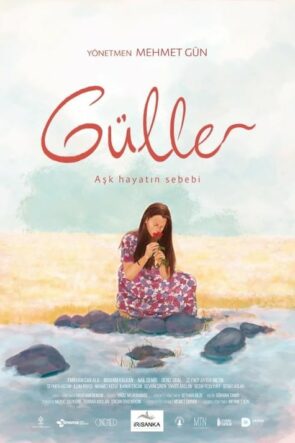 Güller (2019)