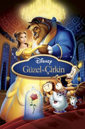 Güzel ve Çirkin (1991)