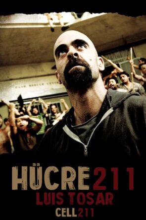 Hücre 211 (2009)