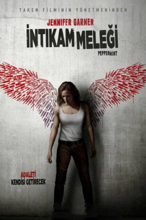 İntikam Meleği (2018)