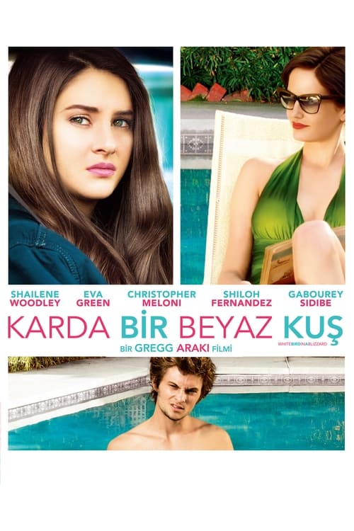 Karda Bir Beyaz Kuş (2014)