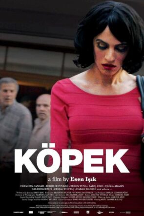 Köpek (2015)