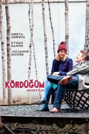 Kördüğüm (2016)