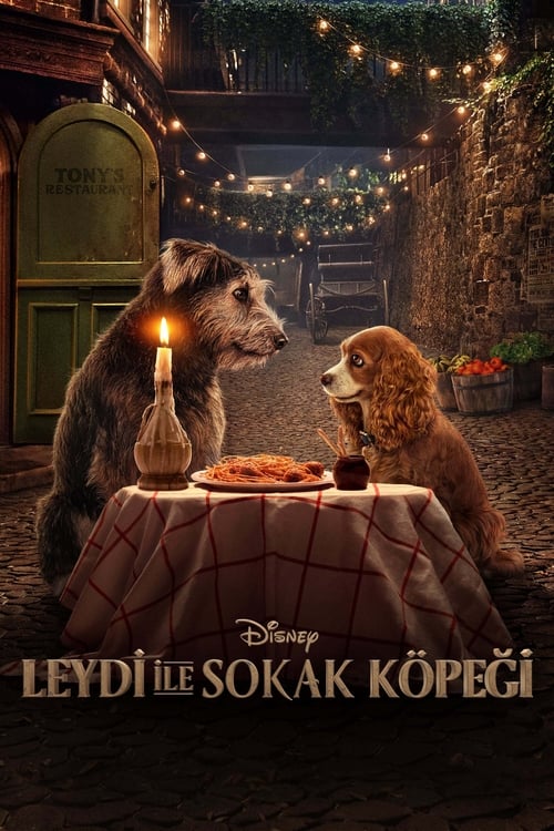 Lady ile Sokak Köpeği (2019)