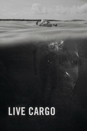 Live Cargo (2016)