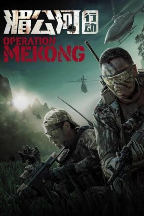 Mekong Operasyonu (2016)