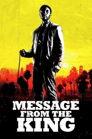 Message from the King (2017)