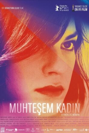 Muhteşem Kadın (2017)