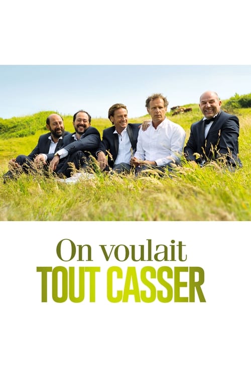 On voulait tout casser (2015)