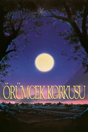 Örümcek Korkusu (1990)