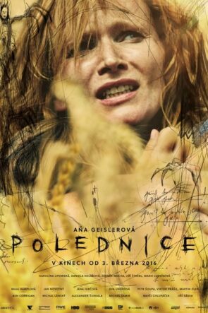 Polednice (2016)