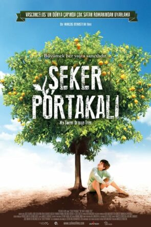 Şeker Portakalı (2013)