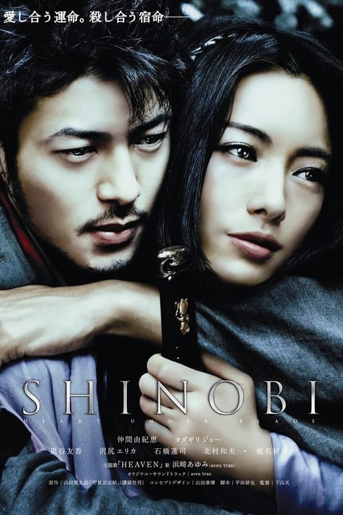 Shinobi (2005)