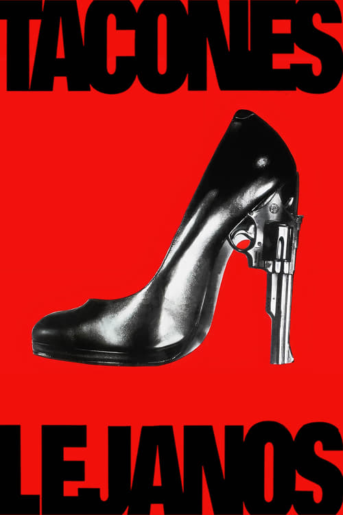 Tacones lejanos (1991)