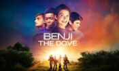 Güvercin Benji (2017)