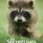 The Secret Lives of Animals : 1.Sezon 10.Bölüm izle