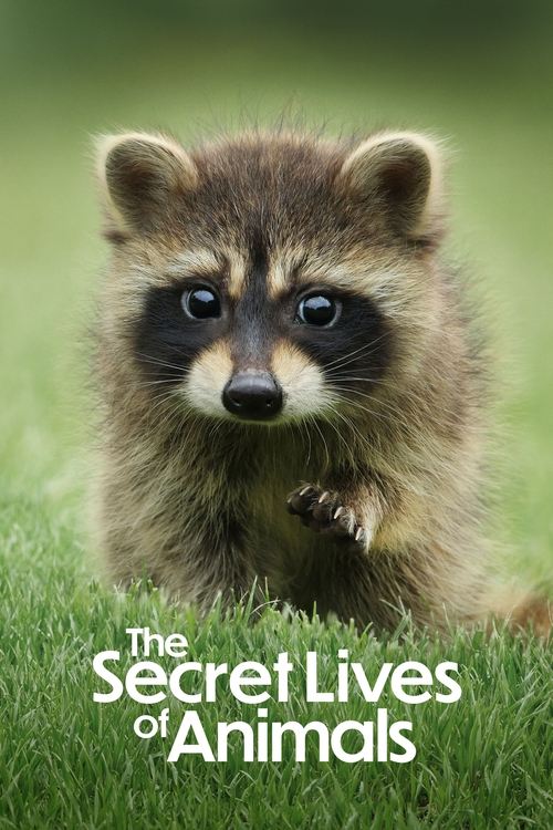 The Secret Lives of Animals : 1.Sezon 1.Bölüm